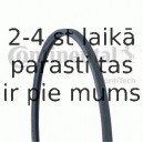 Ķīļrievu siksna CONTITECH 2PJ838