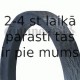 Ķīļsiksna CONTITECH 17X1575Li