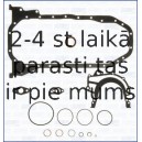 AJUSA 54100900