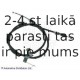 Trose, Stāvbremžu sistēma BLUE PRINT ADM546105
