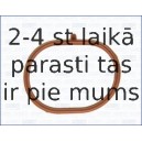 AJUSA 13170600
