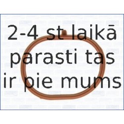 Blīve, Ieplūdes kolektors AJUSA 13170600