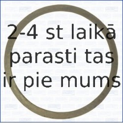 AJUSA 01337600