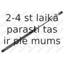 Gāzes atspere, Bagāžas/Kravas nodalījuma vāks STELLOX 11-20851-SX