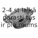 Amortizatora statnes balsts MEYLE 014 741 0000