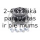 Riteņa rumbas gultņa komplekts OPTIMAL 302207