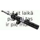 Amortizators SACHS 310 985