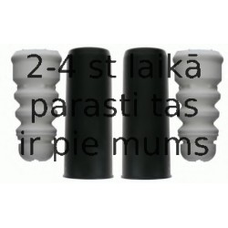 Putekļu aizsargkomplekts, Amortizators SACHS 900 311