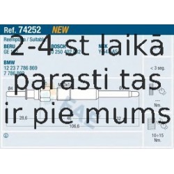 FAE 74252