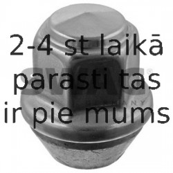 Riteņa stiprināsanas uzgrieznis SWAG 50 94 4949