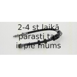 Bremžu šļūtene TRISCAN 8150 16306