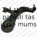 Рычаг независимой подвески колеса, подвеска колеса DELPHI TC2283