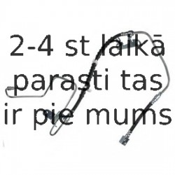 Тормозной шланг DELPHI LH6924