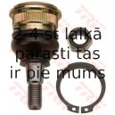 Balst-/Virzošais šarnīrs TRW JBJ710