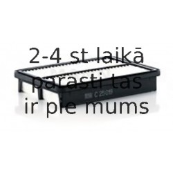 MANN-FILTER C 25 019