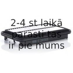 MANN-FILTER C 24 003