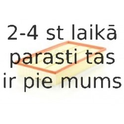 Воздушный фильтр MANN-FILTER C 38 003