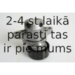 Натяжная планка, поликлиновой ремень TRISCAN 8641 253008