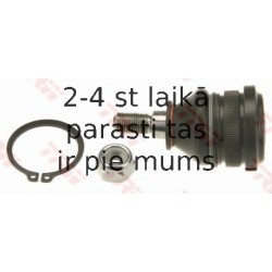 Balst-/Virzošais šarnīrs TRW JBJ174