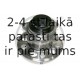 OPTIMAL 982741