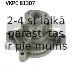 Ūdenssūknis SKF VKPC 81307