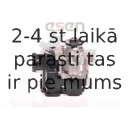 Hidrosūknis, Stūres iekārta SKV GERMANY 10SKV162
