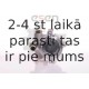 Hidrosūknis, Stūres iekārta SKV GERMANY 10SKV147