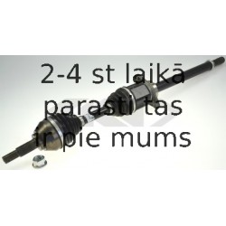 SPIDAN 24905