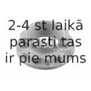 Uzgrieznis, Ass kakliņš SWAG 20 91 2181