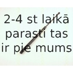Gāzes atspere, Bagāžas/Kravas nodalījuma vāks TRISCAN 8710 29257