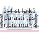 Радиатор, охлаждение двигателя NISSENS 60323