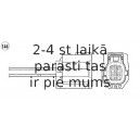 Lambda zonde NGK 96880