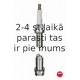 Aizdedzes svece NGK 4775
