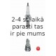 Aizdedzes svece NGK 2308