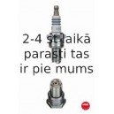 Aizdedzes svece NGK 3006
