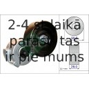 Spriegotājsvira, Ķīļrievu siksna INA 534 0421 10