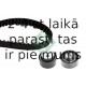 Комплект ремня ГРМ INA 530 0160 10