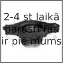 Piekare, Amortizators GSP 514232
