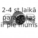 Kronšteins, Sviras bukse GSP 514600