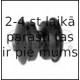 Bukse, Atsperes iekare GSP 516385
