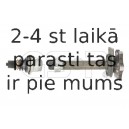 Piedziņas vārpsta GSP 261193