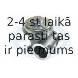 Izpl. gāzu recirkulācijas vārsts ERA 555071