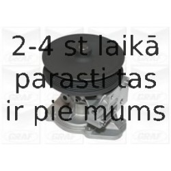 Ūdenssūknis GRAF PA1121