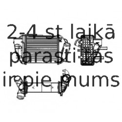 Starpdzesētājs NRF 30755