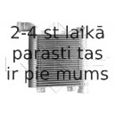 Starpdzesētājs NRF 30331