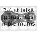 SASIC 4001784