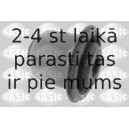 SASIC 2254015