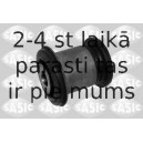 SASIC 2250024