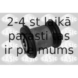 SASIC 2250024