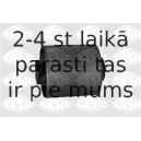 SASIC 1525615